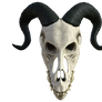 Dragon Skull 04