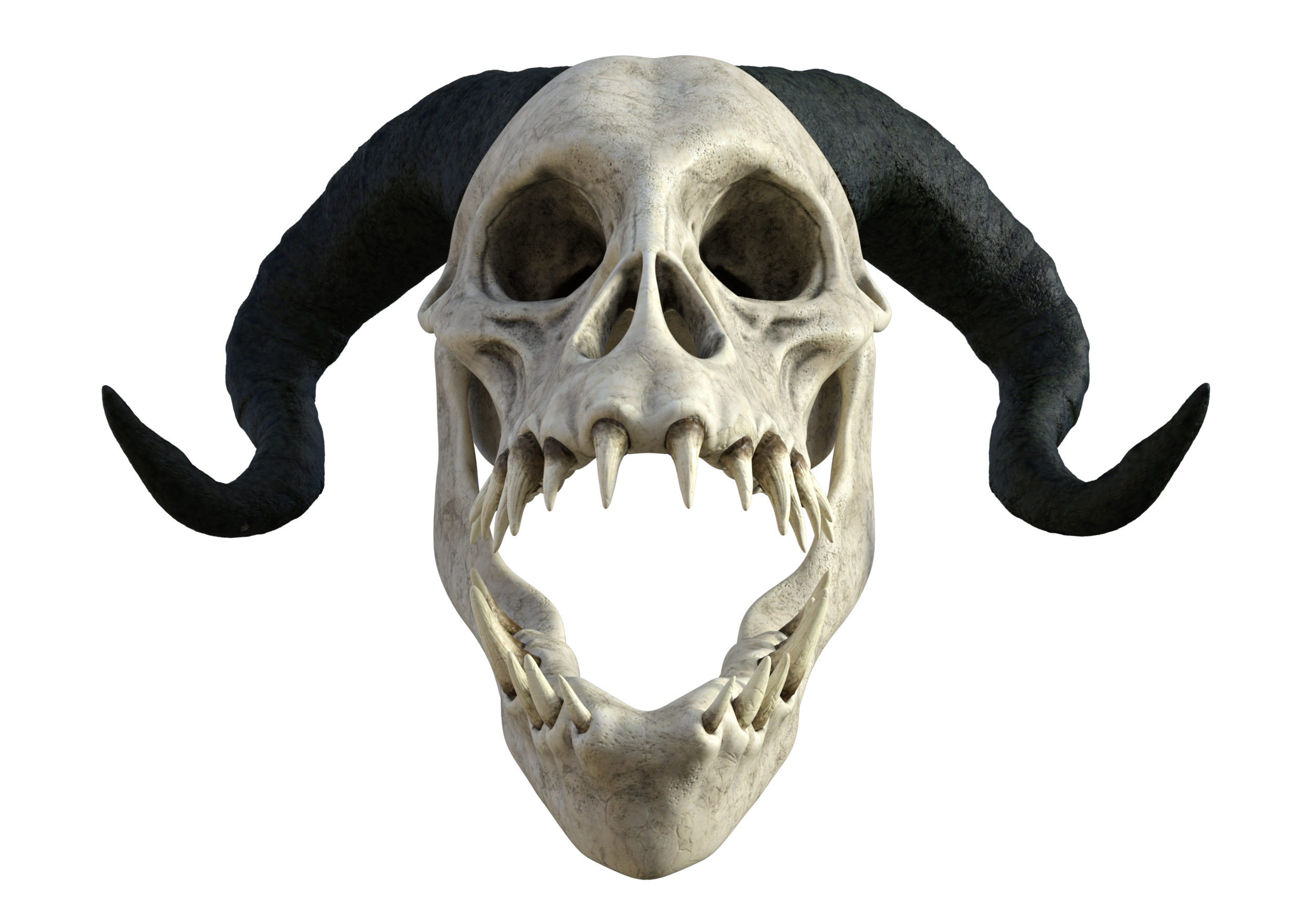 Dragon Skull 01