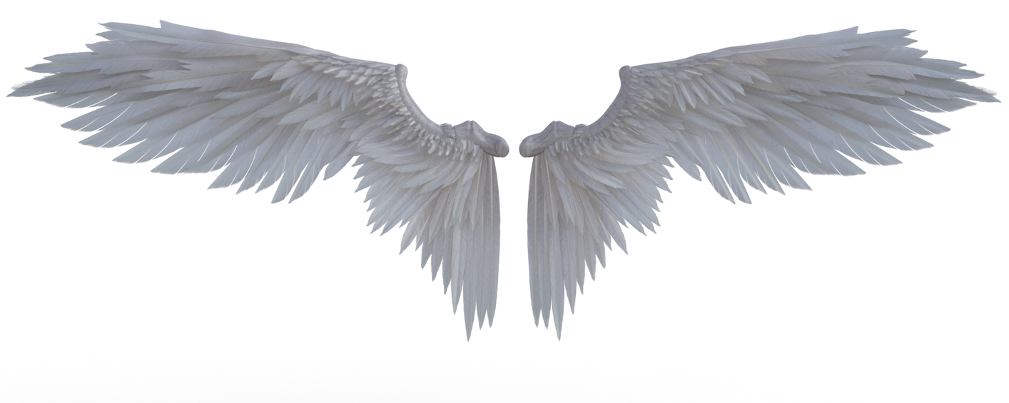 Angel's Wings HD 032 by coolzero2a on DeviantArt