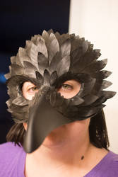 My Raven Mask