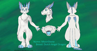 MoonStone Angel Dragon