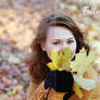 Falltime - 10 Autumn Photoshop Actions