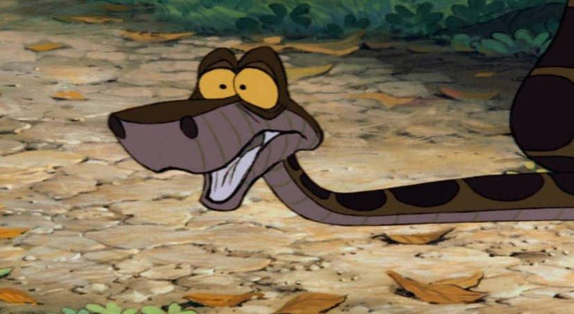 Kaa Scared Kaa From The Jungle Book (1967) Scared by jeffysml35 on DeviantArt