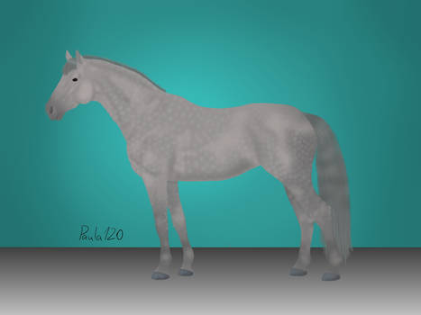 New ESH Stallion