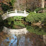 Bridge over Calm Waters