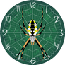 Argiope aurantia clock