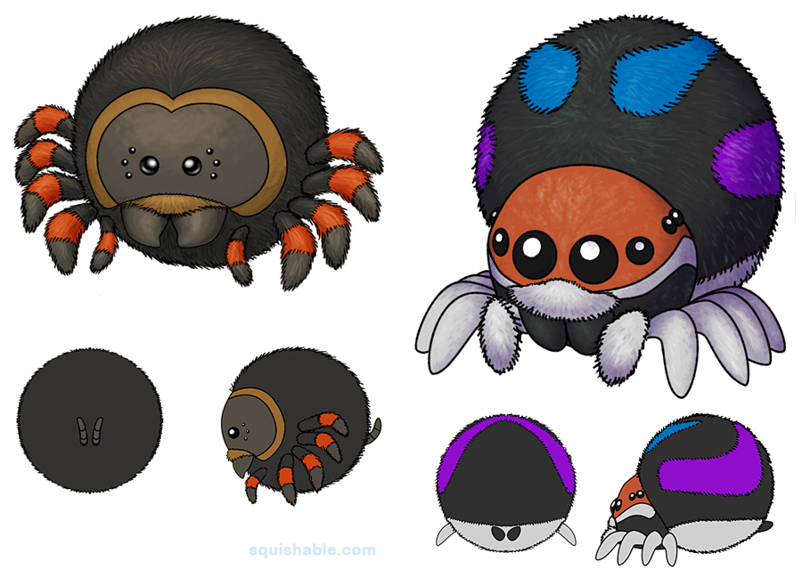 Squishable Spider Concepts