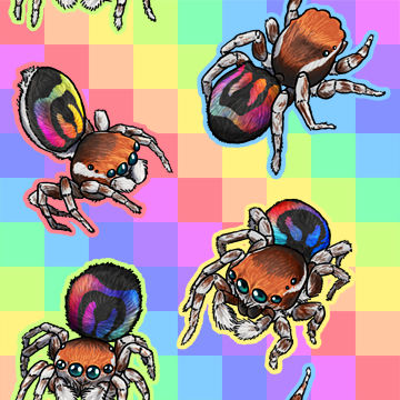 Rainbow Jumping Spider tiled bg by RacieB on DeviantArt
