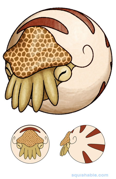 Squishable Nautilus by RacieB