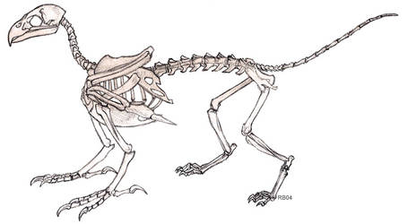 Gryphon Skeleton