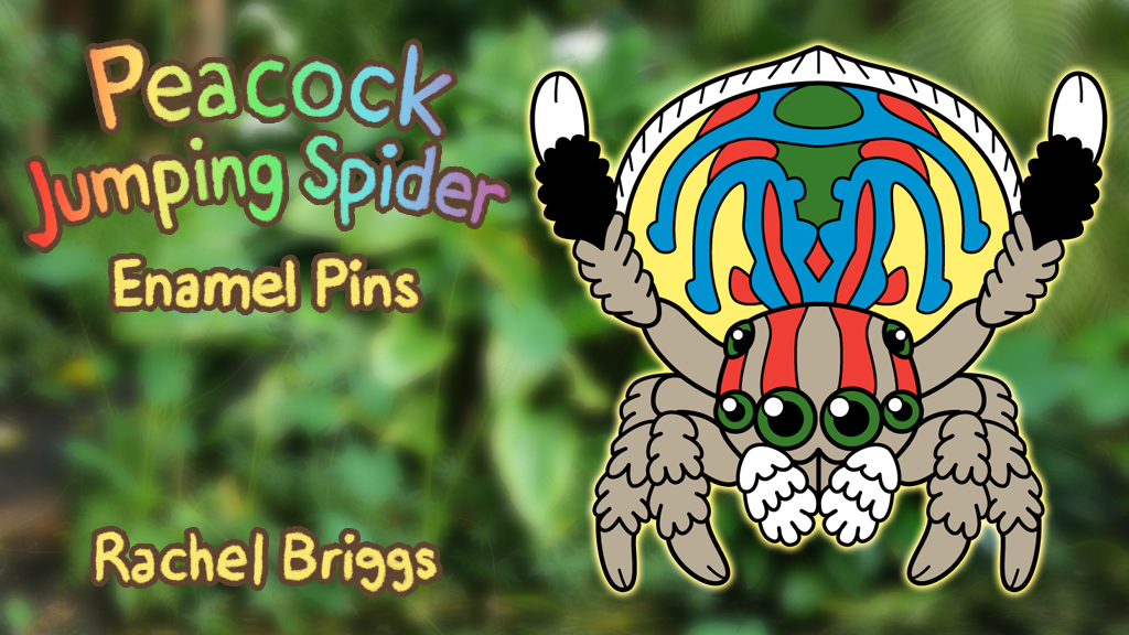 Peacock Jumping Spider Enamel Pins by RacieB