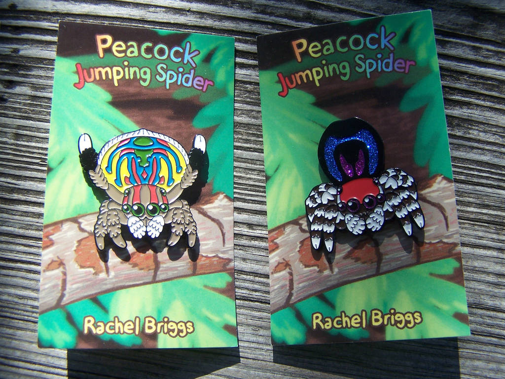 Peacock and Rainbow Jumping Spider Enamel Pins by RacieB
