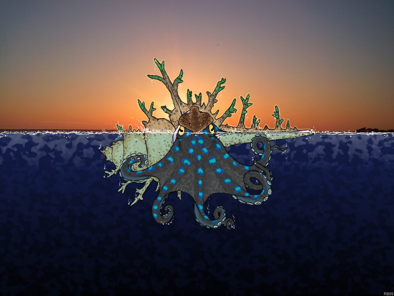 Sunset Kraken