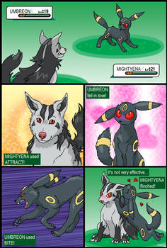 Mightyena vs Umbreon