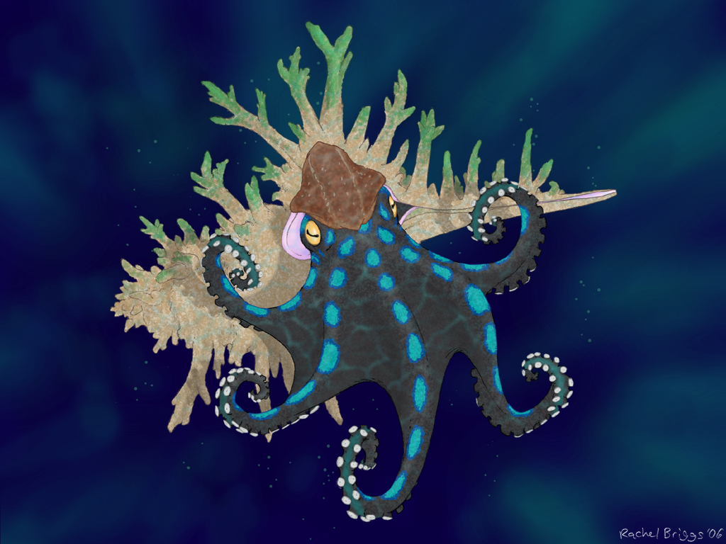 Kraken