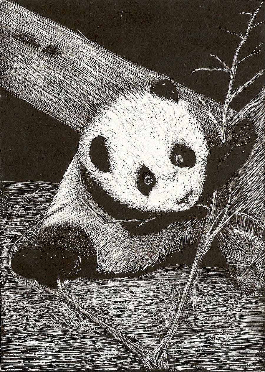 Panda Scratchboard by shirou45 on DeviantArt