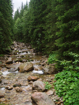 Tatra mountains