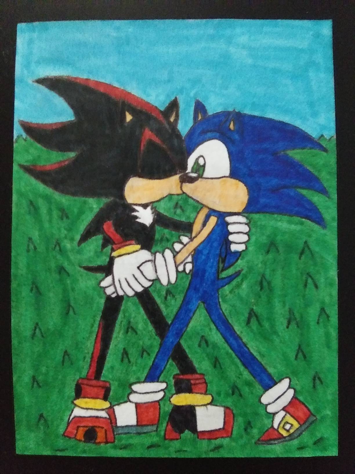 Sonic X Shadow Sonadow💙❤