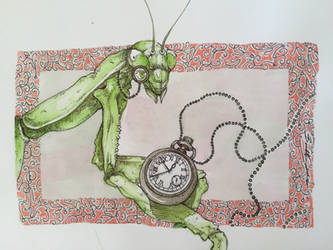 The time of praying mantis 