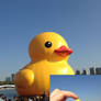 Giant Duck