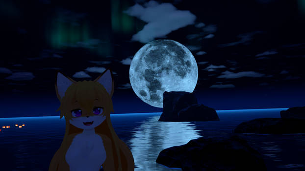 Big Moon in Night Sky 3