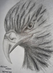 Eagle