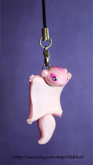 Flying squirrel charm by o-YuRiko-o Flying squirrel charm by o-YuRiko-o
