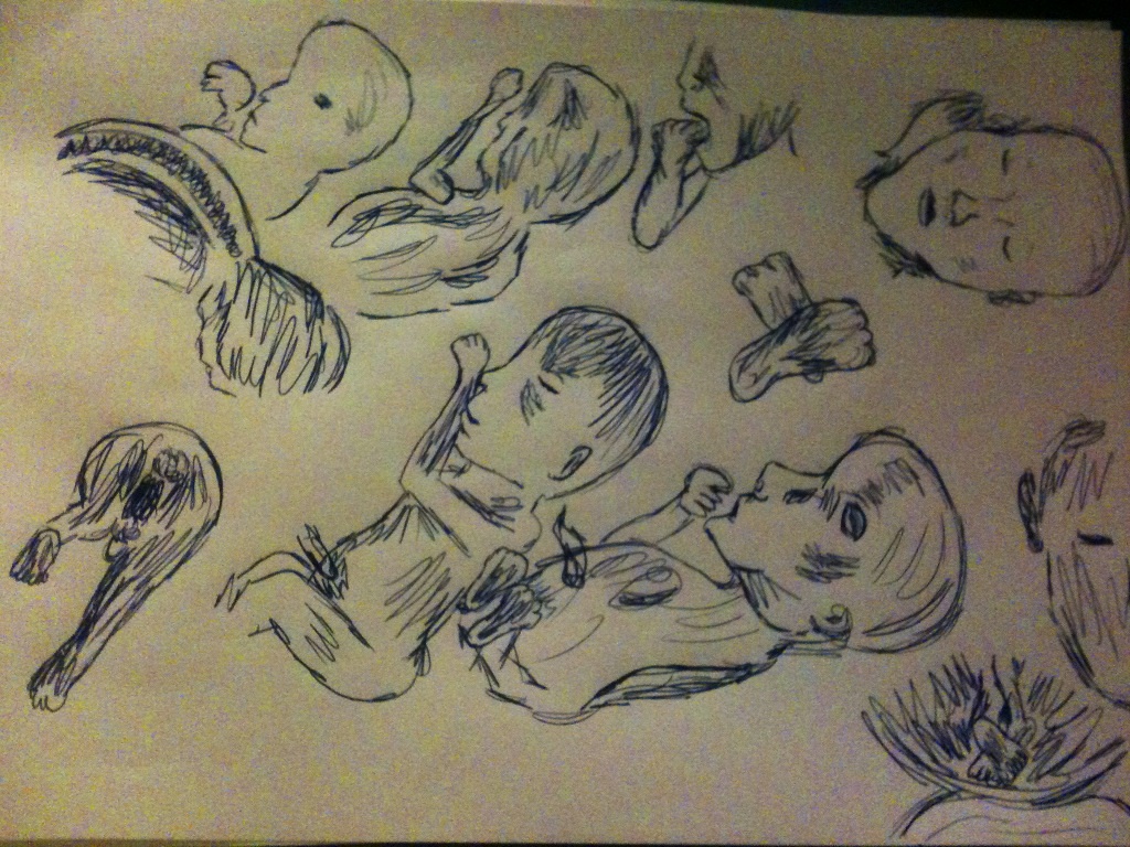 Drawings from Henry's scan