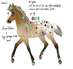 2986 Padro Foal Designed By Artoffreedom by HaloSon