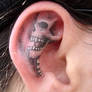 ear skull