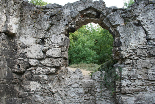 Ruins Of a Castle VII