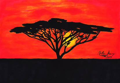 African Sunset