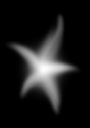 Starfish Gif