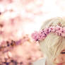 Only fools fall in love