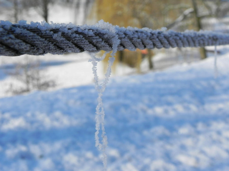 Hooked in ice