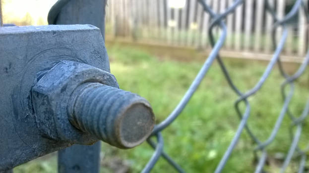 Fence Thing