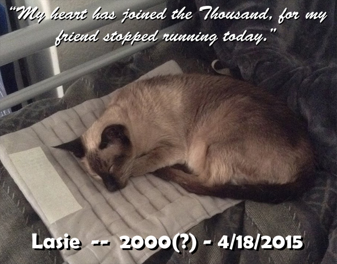 Memorial for Lasie