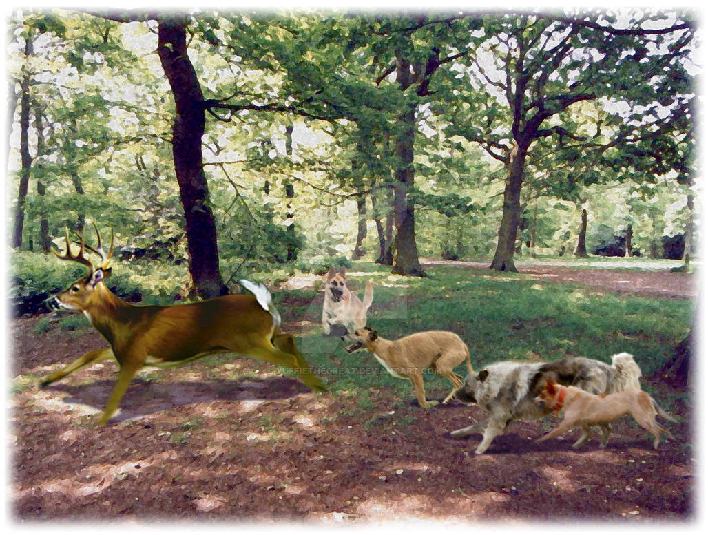 Stray dogs chasing deer by YuffietheGreat on DeviantArt