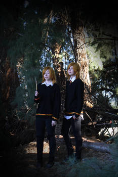 Weasley Twins