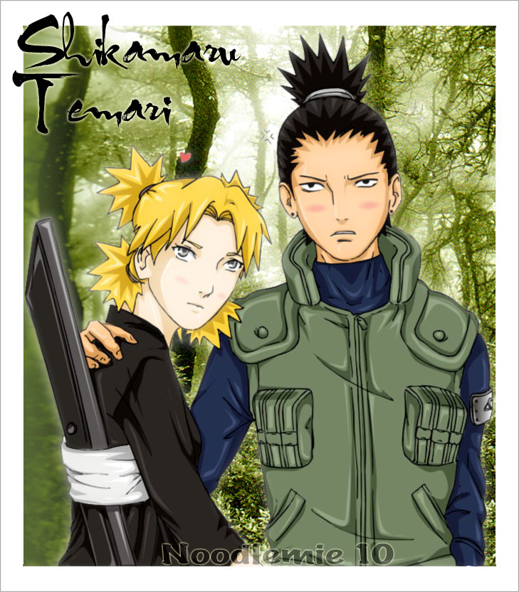 shikamaru x  temari