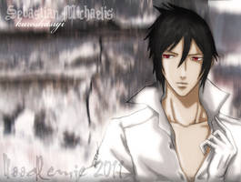 sebastian michaelis