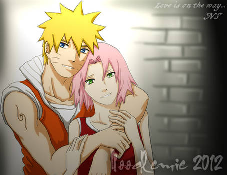 NaruSaku :love is on the way