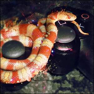 Gaming Snake