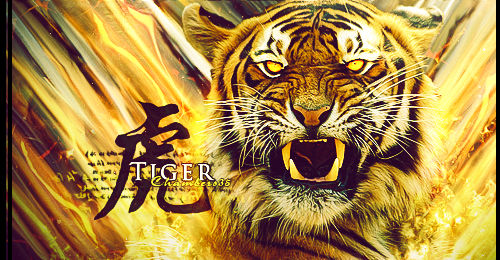 Zodiac Tiger