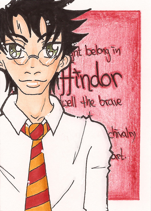 Gryffindor Pride - Harry