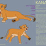 Character Sheet - KANAI