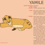 Character Sheet - YAMILE