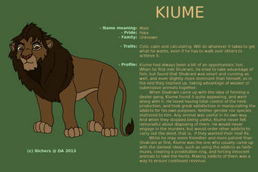 Character sheet - KIUME