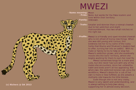 Character sheet - MWEZI