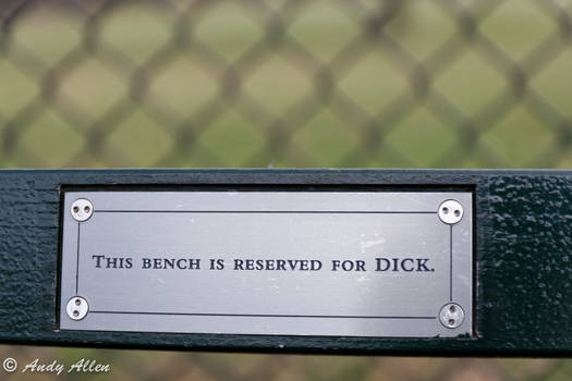 Dick's Bench